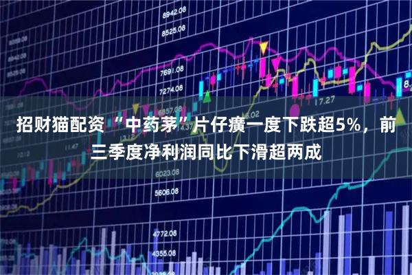 招财猫配资 “中药茅”片仔癀一度下跌超5%，前三季度净利润同比下滑超两成