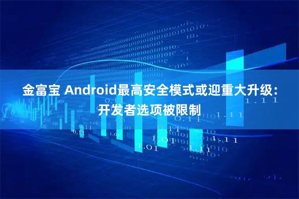 金富宝 Android最高安全模式或迎重大升级：开发者选项被限制