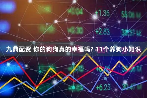 九鼎配资 你的狗狗真的幸福吗? 11个养狗小知识